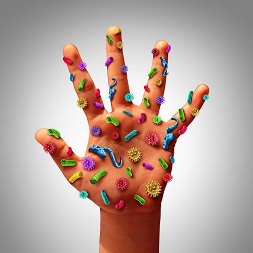 Odoo - Sample 1 for three columns