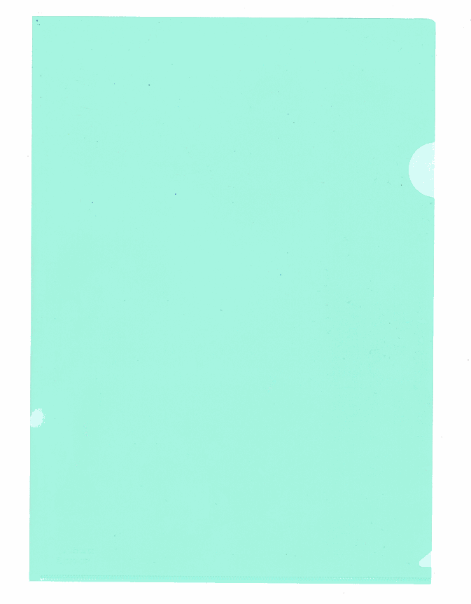 Data Bank E-310-SP BN105 快勞袋/膠快勞 - 1層,  A4, 綠色, 12個(包)