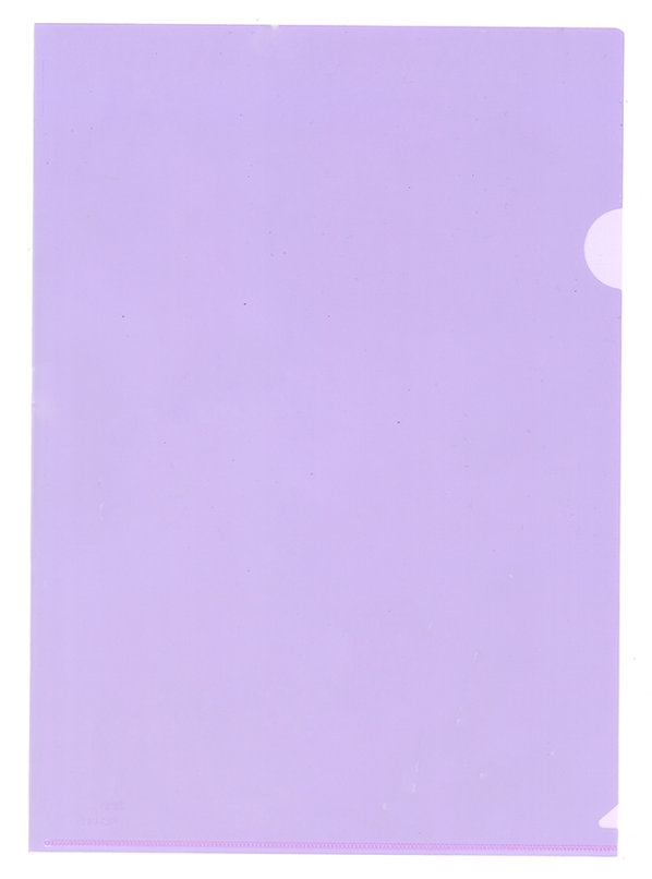 Data Bank E-310-SP BN105 快勞袋/膠快勞 - 1層,  A4, 紫色, 12個(包)